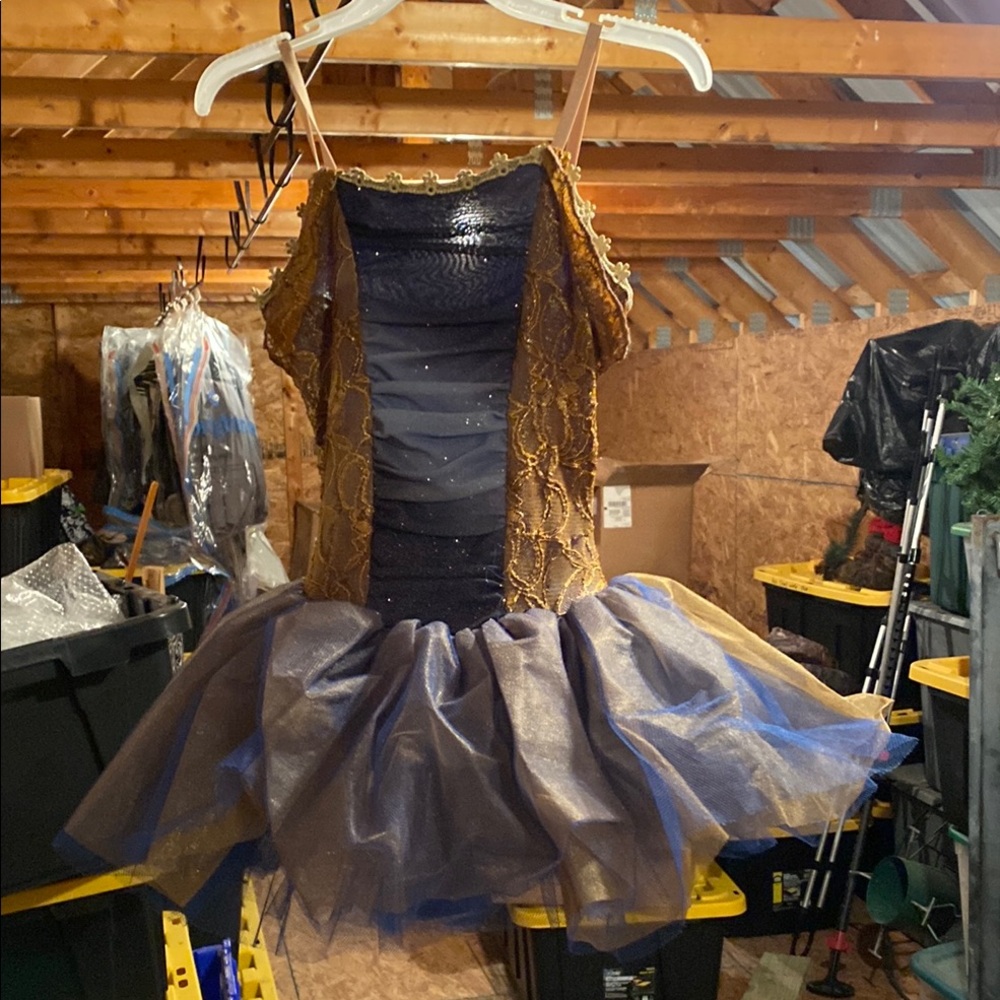 Elegant Kids Dance Costume in Gold and Blue